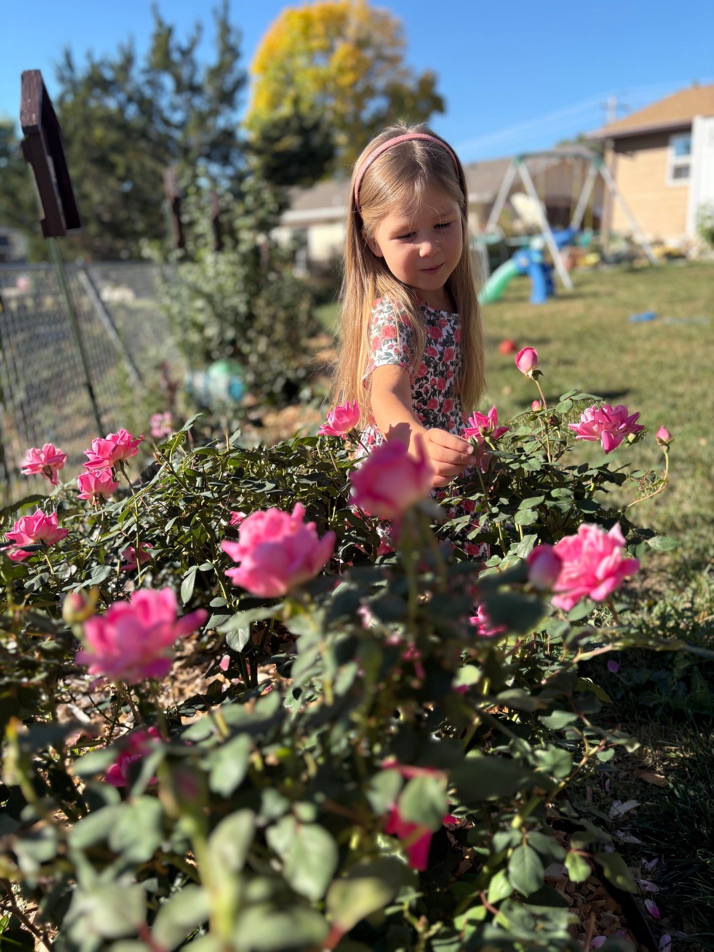 Little Girls Shower of Roses Dress