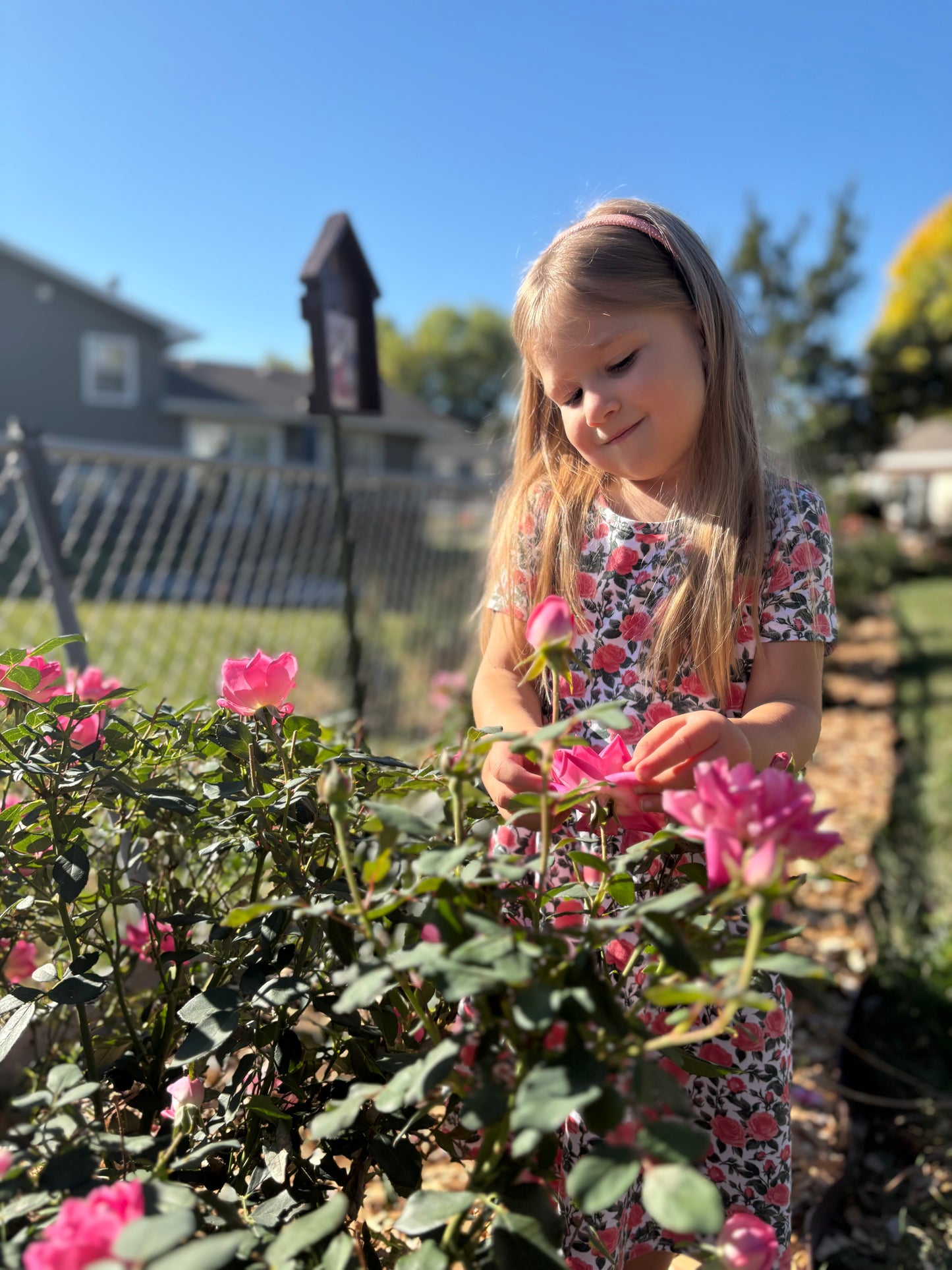Little Girls Shower of Roses Dress